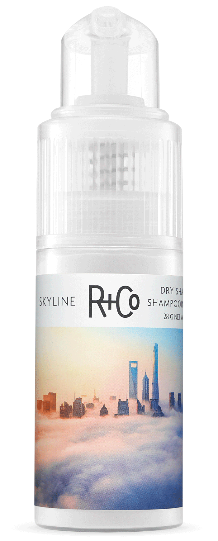 SKYLINE-Dry-Shanpoo-Powder.png